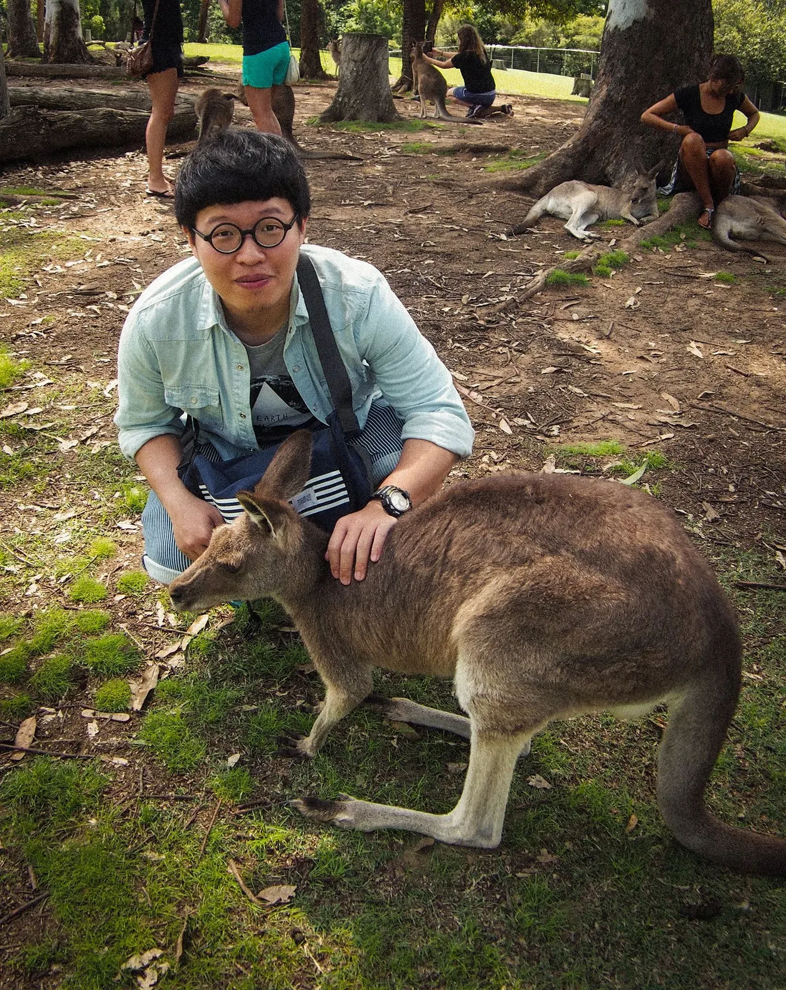 在澳洲的動物園蹲在袋鼠旁合照